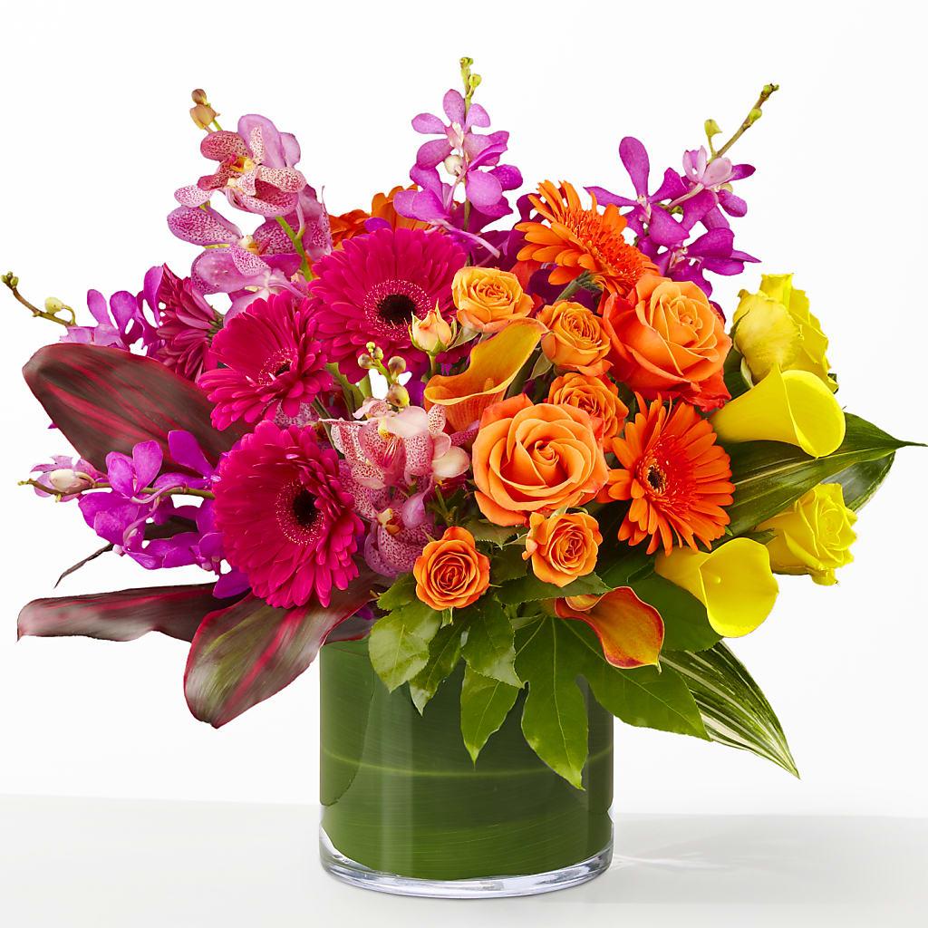 The Mosaic –  The Bloom Centre, Houston TX