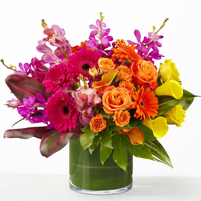 The Mosaic –  The Bloom Centre, Houston TX