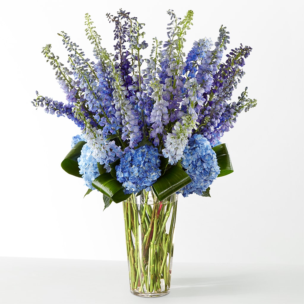 The Editorial –  The Bloom Centre, Houston TX