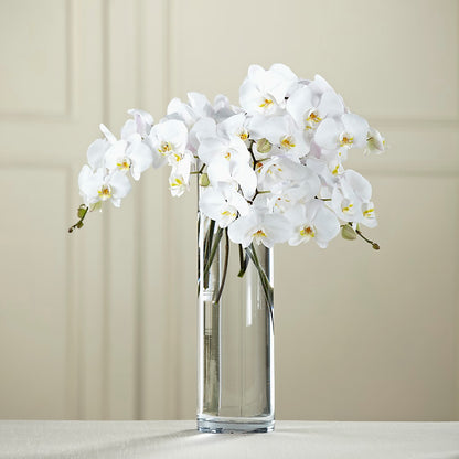 White Phalaenopsis Bouquet –  The Bloom Centre, Houston TX