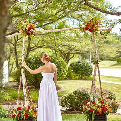 Arbor of Love Archway –  The Bloom Centre, Houston TX