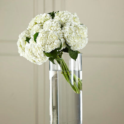 White Hydrangea Hand-Tied Bouquet –  The Bloom Centre, Houston TX